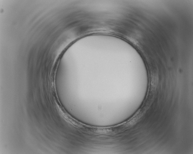 X0000055521466200509022111