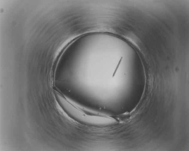 X0000055521468200509022111