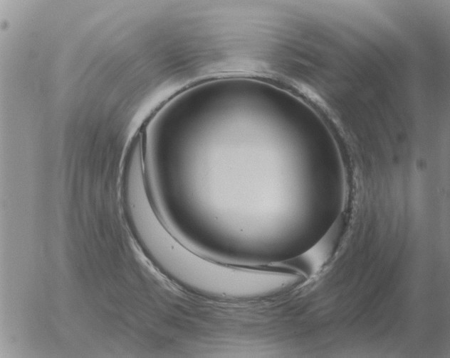 X0000055521469200509022111