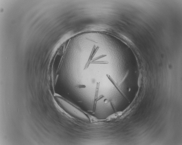 X0000055521471200509022111