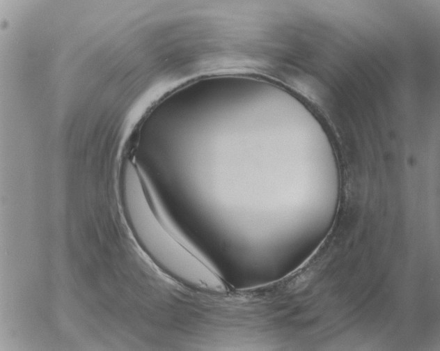 X0000055521472200509022111