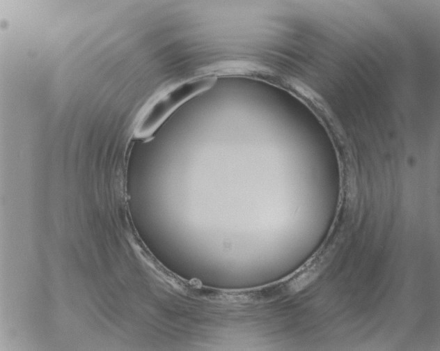 X0000055521473200509022111