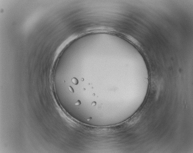 X0000055521474200509022111