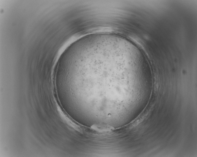 X0000055521475200509022111