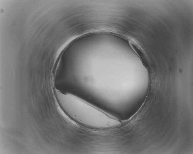 X0000055521476200509022111