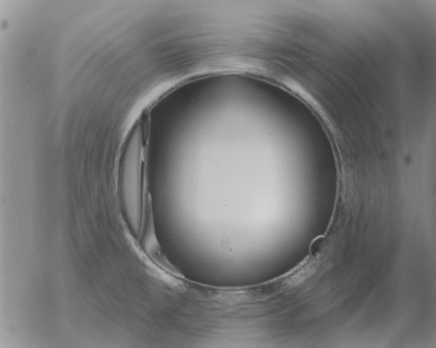 X0000055521477200509022111