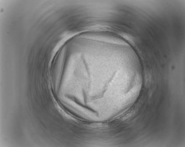 X0000055521478200509022111