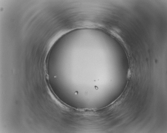 X0000055521479200509022111