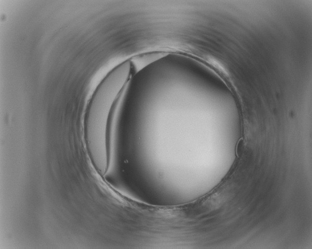 X0000055521480200509022111