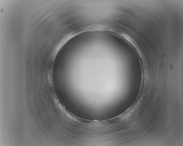 X0000055521481200509022111