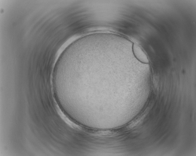 X0000055521482200509022111