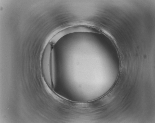 X0000055521483200509022111