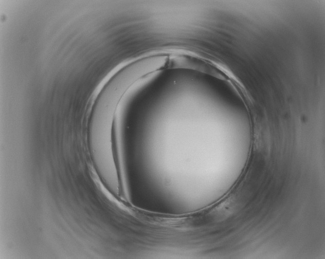 X0000055521484200509022111