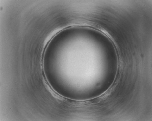 X0000055521485200509022111