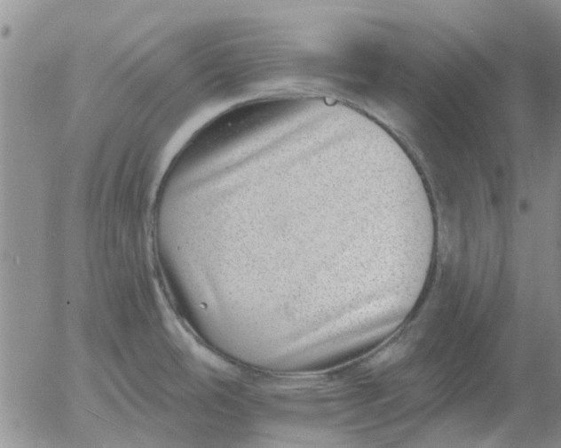 X0000055521486200509022111