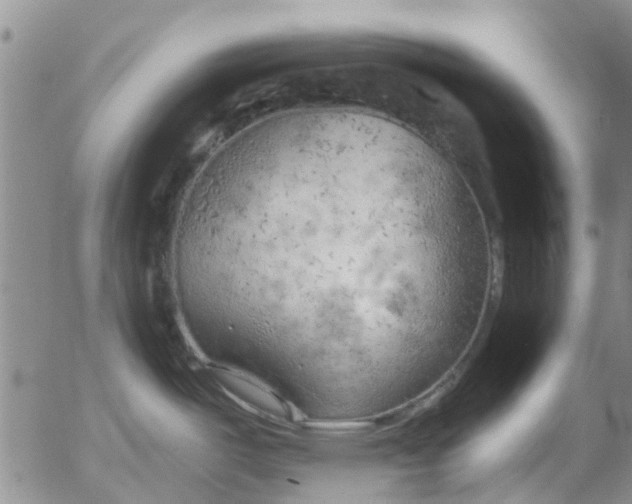 X0000055521487200509022111