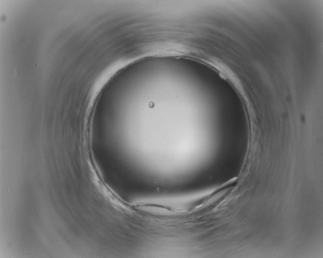 X0000055521488200509022111