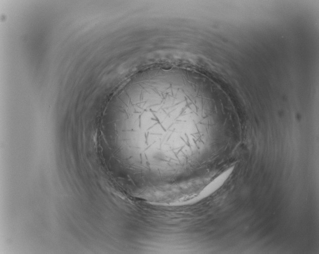 X0000055521489200509022110