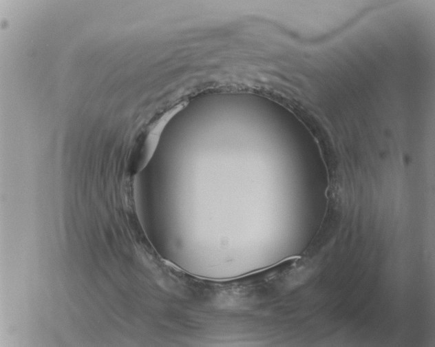 X0000055521490200509022110