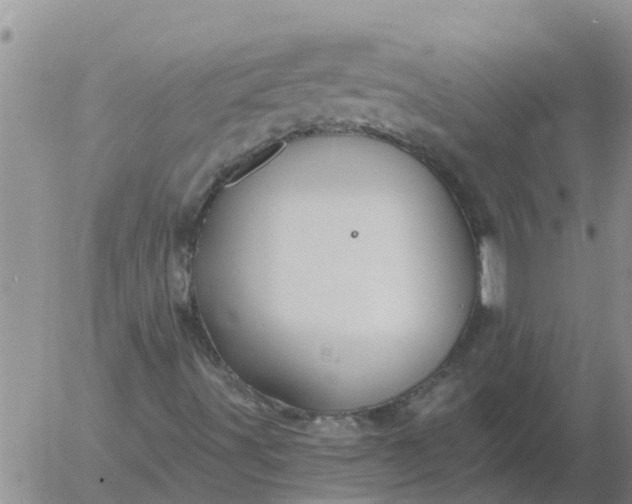 X0000055521491200509022110