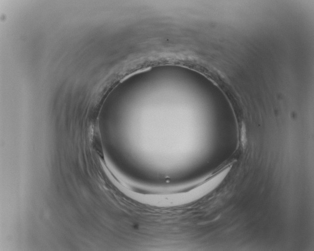 X0000055521492200509022110