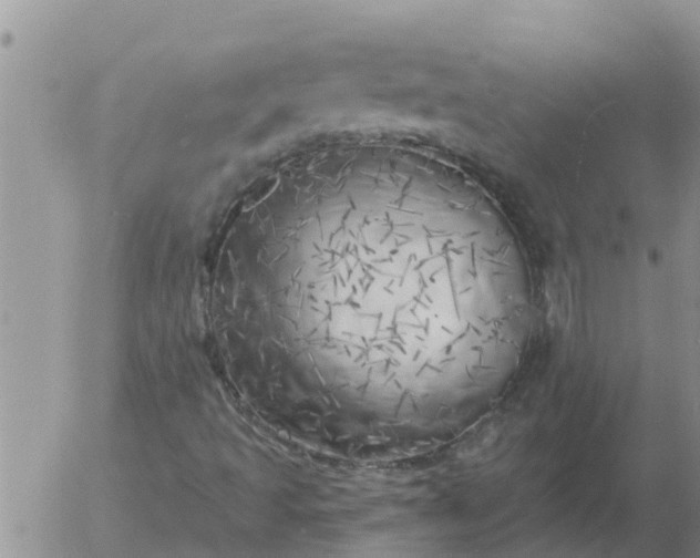 X0000055521493200509022110