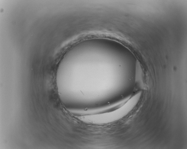 X0000055521494200509022110