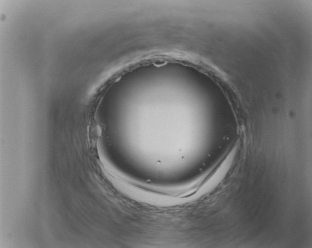 X0000055521496200509022110