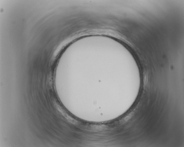 X0000055521498200509022110