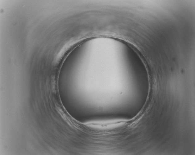 X0000055521499200509022110