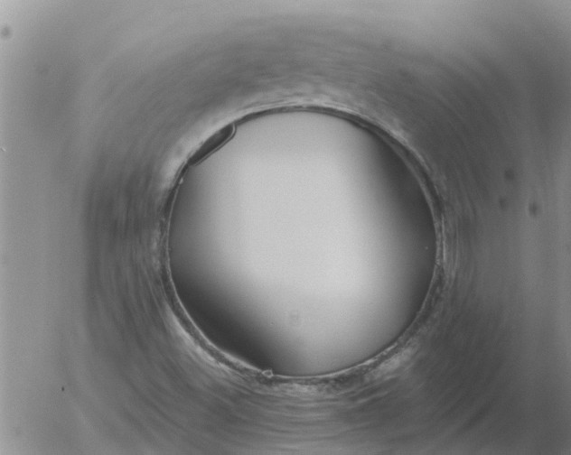 X0000055521500200509022110