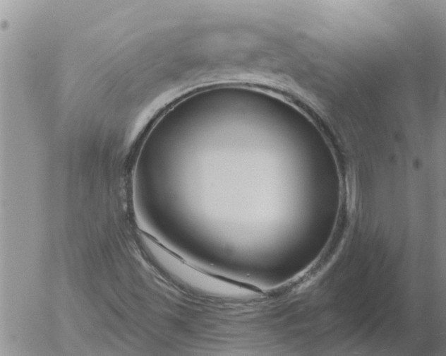 X0000055521501200509022110