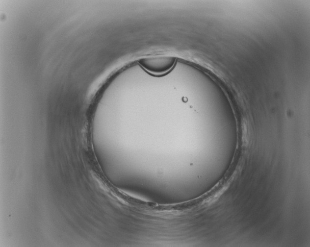 X0000055521502200509022110