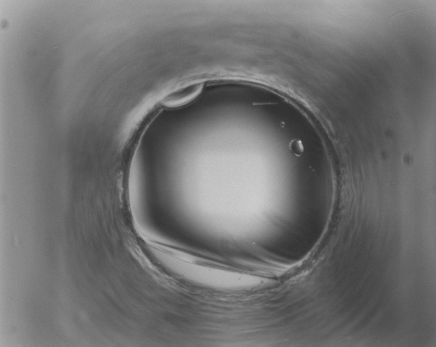 X0000055521503200509022110