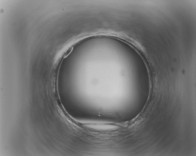 X0000055521504200509022110