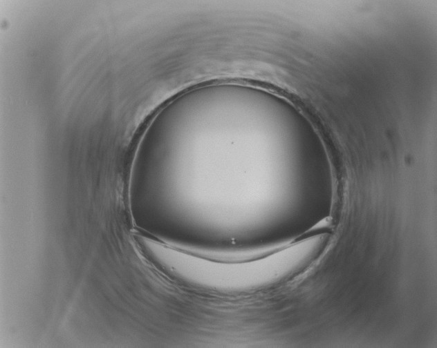 X0000055521505200509022110