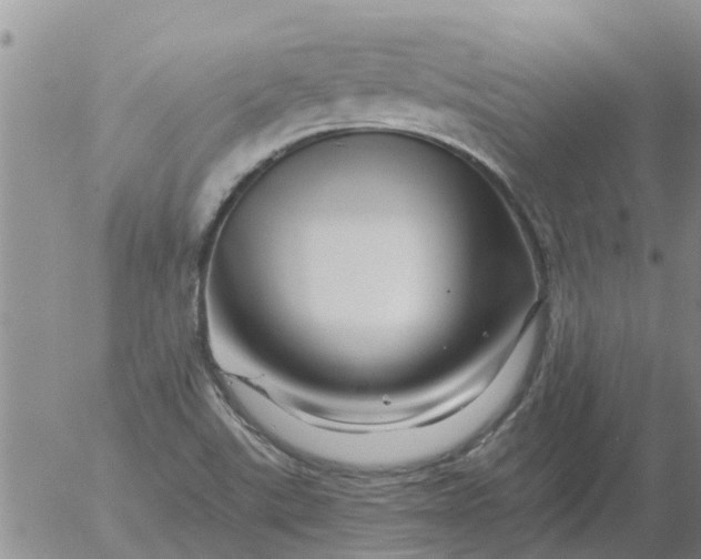 X0000055521507200509022110