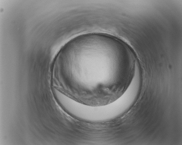 X0000055521508200509022110