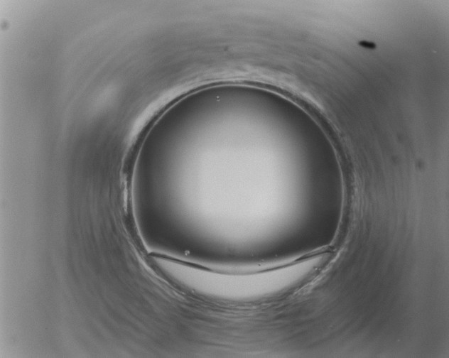 X0000055521509200509022110