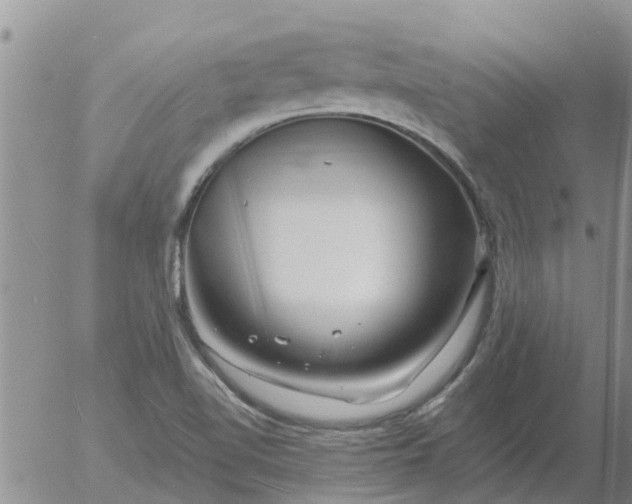 X0000055521510200509022110