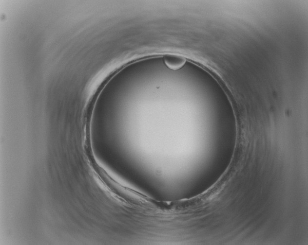 X0000055521511200509022110