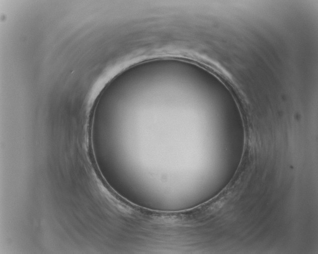 X0000055521512200509022110