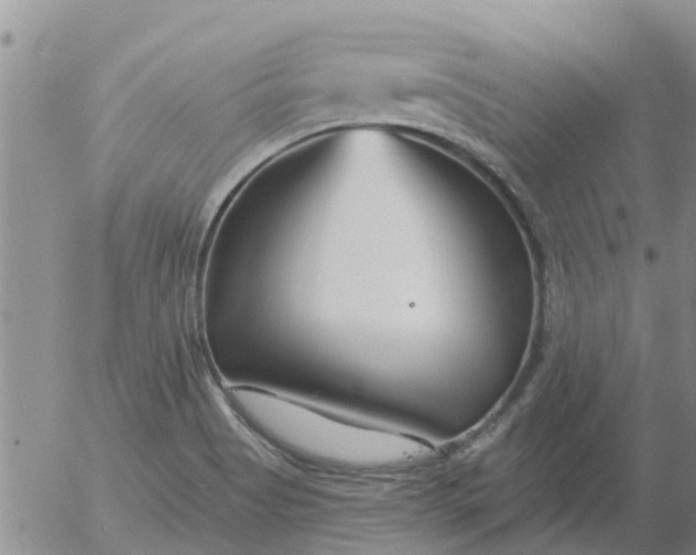 X0000055521513200509022110