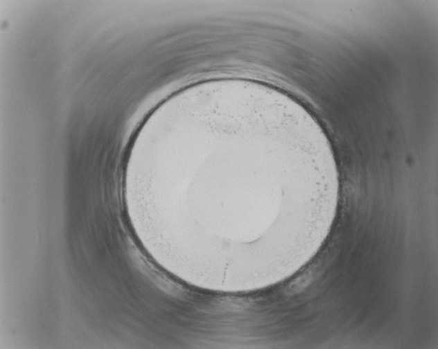 X0000055521514200509022110