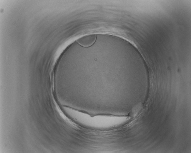 X0000055521515200509022110