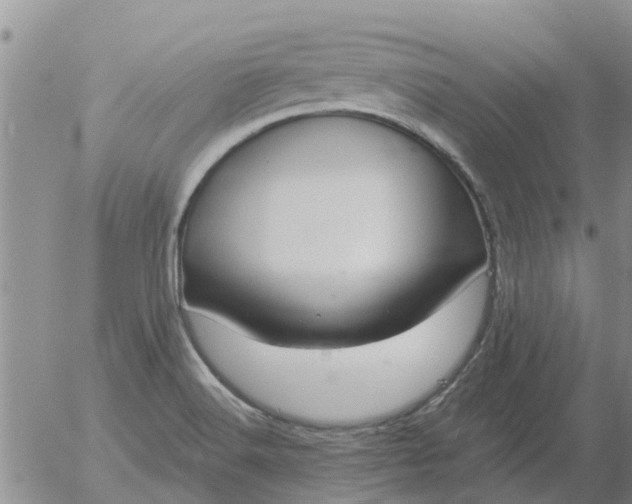 X0000055521516200509022110