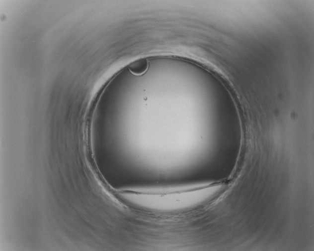 X0000055521517200509022110