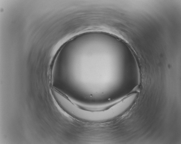 X0000055521519200509022110