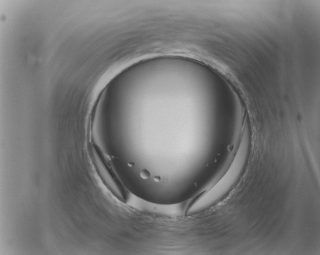 X0000055521520200509022110