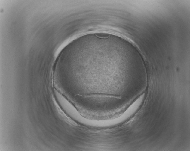 X0000055521522200509022110